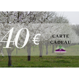 Carte cadeau 40€