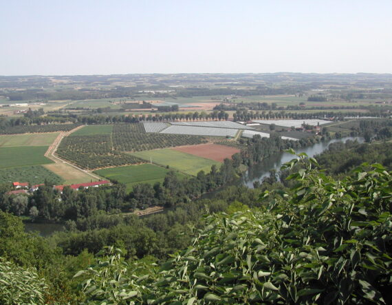 Ferme et Musée du Pruneau Lot et Garonne