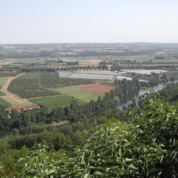 Ferme et Musée du Pruneau Lot et Garonne