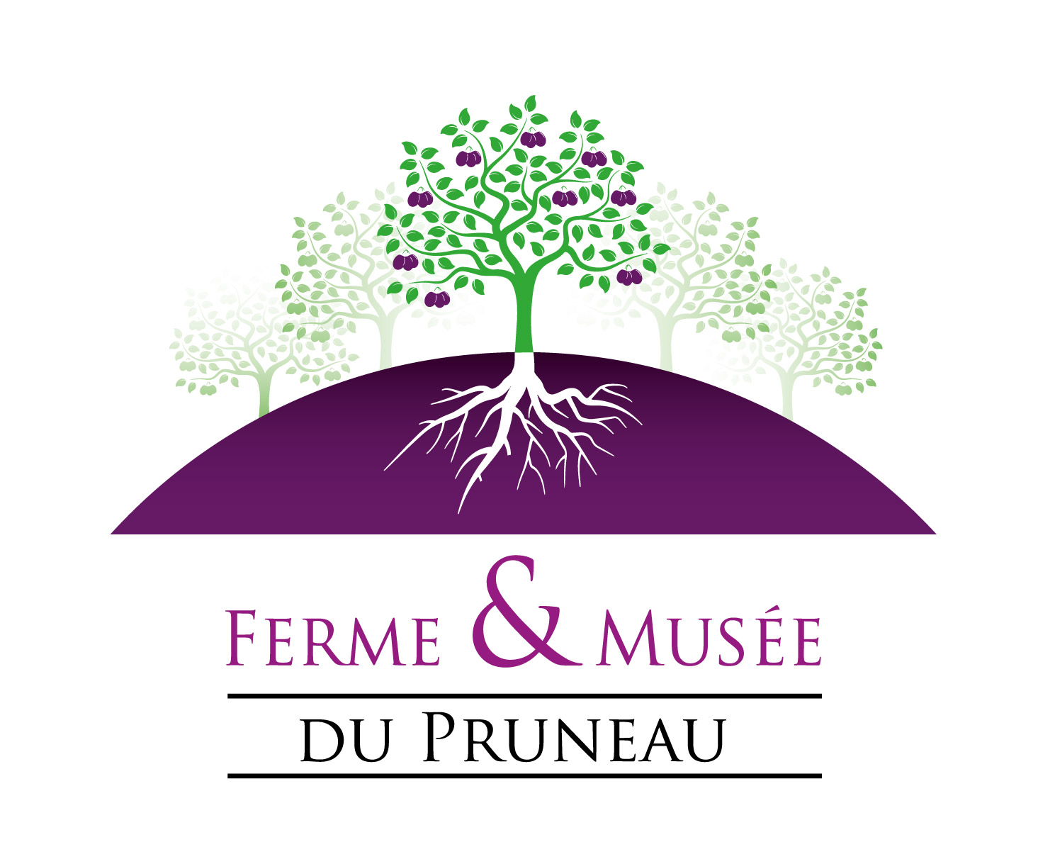 Boutique en ligne de la Ferme et Musée du Pruneau