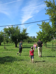 Quizz'Pruno - Ferme et Musée du Pruneau