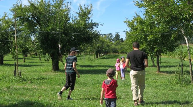 Quizz'Pruno - Ferme et Musée du Pruneau