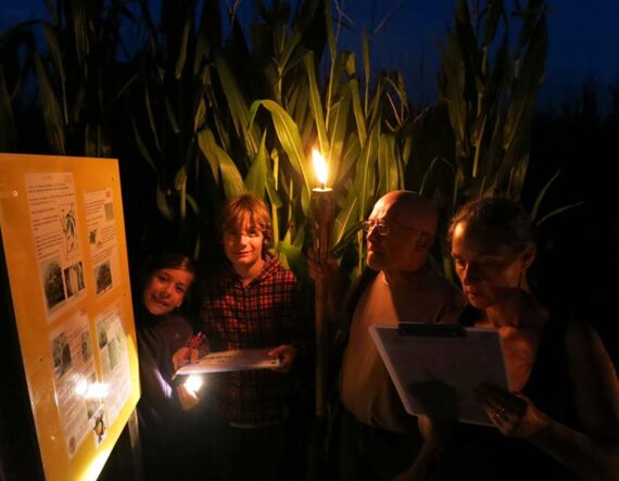Labyrinthe et Flambeaux