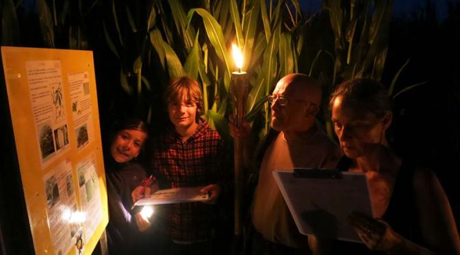 Labyrinthe et Flambeaux