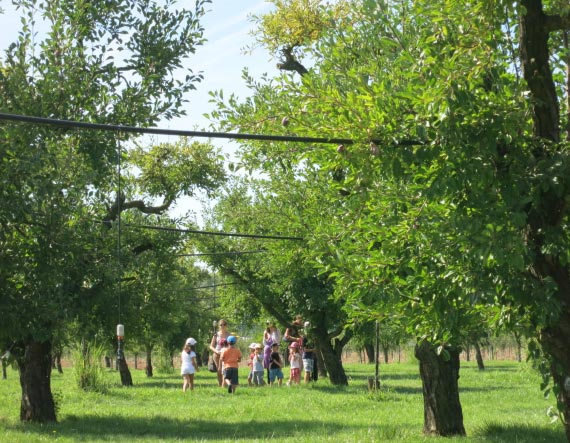 Quizz'Pruno - Ferme et Musée du Pruneau